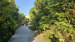 Sembawang Hot Spring Park 3989964844