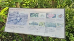 Sembawang Hot Spring Park 147243438