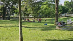 Sembawang Park 1807300760