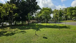 Sembawang Park 2296997336