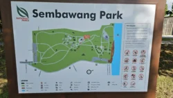 Sembawang Park 1583585456