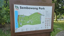 Sembawang Park 1545563224