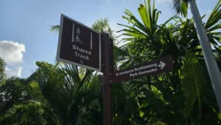 Sembawang Park 2783265714