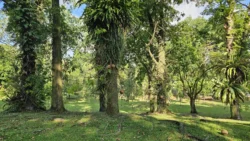 Sembawang Park 709020143