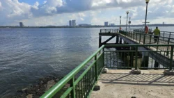 Sembawang Park 2319965571