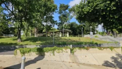 Sembawang Park 1995348564