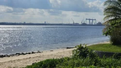 Sembawang Park 1229873868