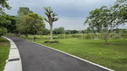 Sengkang Riverside Park 2018624553