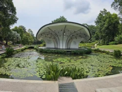 Singapore Botanic Gardens 1156127294