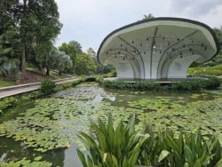 Singapore Botanic Gardens 3980863398