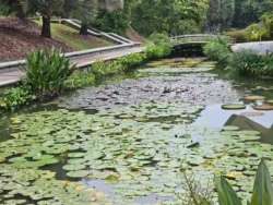 Singapore Botanic Gardens 3352089391