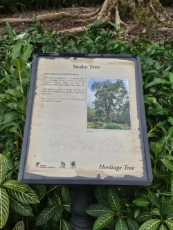 Singapore Botanic Gardens 860921832
