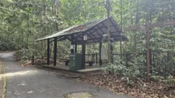 Bukit Timah Nature Reserve 3231615507