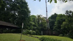 Bukit Timah Nature Reserve 2743221090