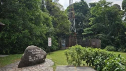 Bukit Timah Nature Reserve 3010861829
