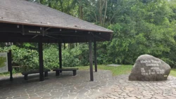 Bukit Timah Nature Reserve 2230340078