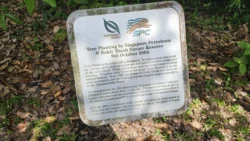 Bukit Timah Nature Reserve 1898530215