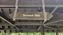 Bukit Timah Nature Reserve 1641899456