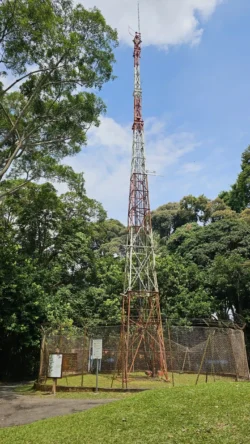 Bukit Timah Nature Reserve 3621054485