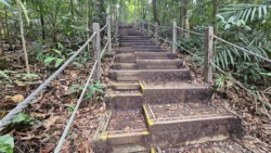 Bukit Timah Nature Reserve 1062825855