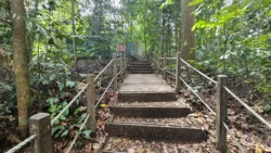 Bukit Timah Nature Reserve 2704522205