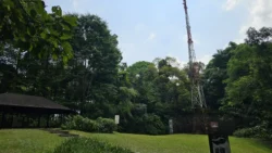 Bukit Timah Nature Reserve 3786786576