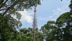 Bukit Timah Nature Reserve 214732029