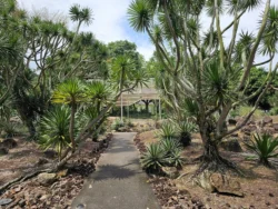 Singapore Botanic Gardens 3618664883