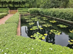 Singapore Botanic Gardens 1861060351