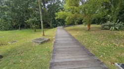 West Coast Park 3501921496