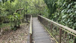 West Coast Park 2437354793