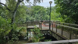 West Coast Park 3359082204
