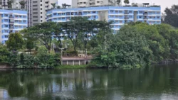 Lorong Halus Wetland 3648582210