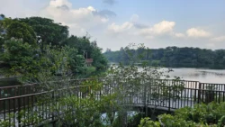 Lorong Halus Wetland 2832260322