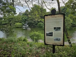 Singapore Botanic Gardens 1367513032