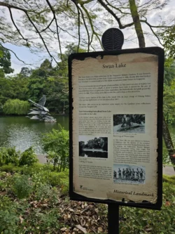 Singapore Botanic Gardens 554090744