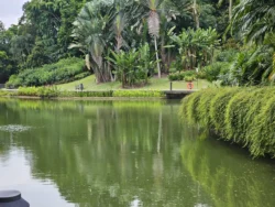 Singapore Botanic Gardens 2176820624