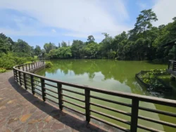 Singapore Botanic Gardens 3633925136