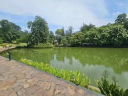 Singapore Botanic Gardens 4232478109