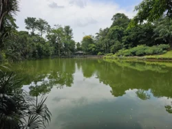 Singapore Botanic Gardens 544109000