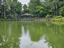 Singapore Botanic Gardens 588771840