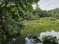 Singapore Botanic Gardens 3458581550