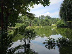 Singapore Botanic Gardens 3099385657