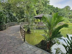 Singapore Botanic Gardens 3369518014