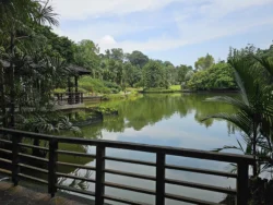 Singapore Botanic Gardens 1802239539