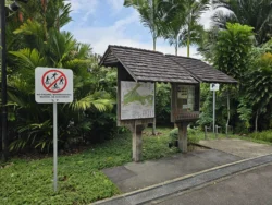 Singapore Botanic Gardens 2637481053
