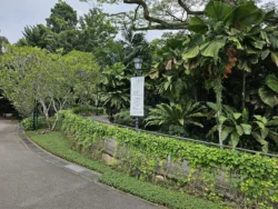 Singapore Botanic Gardens 1249643282