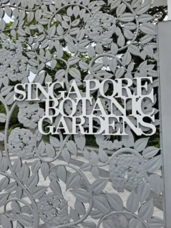 Singapore Botanic Gardens 2465767628
