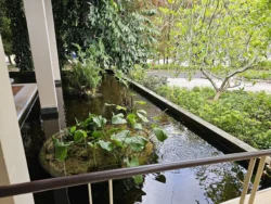 Singapore Botanic Gardens 2072039571