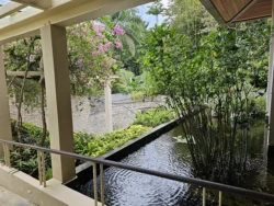 Singapore Botanic Gardens 2898796508